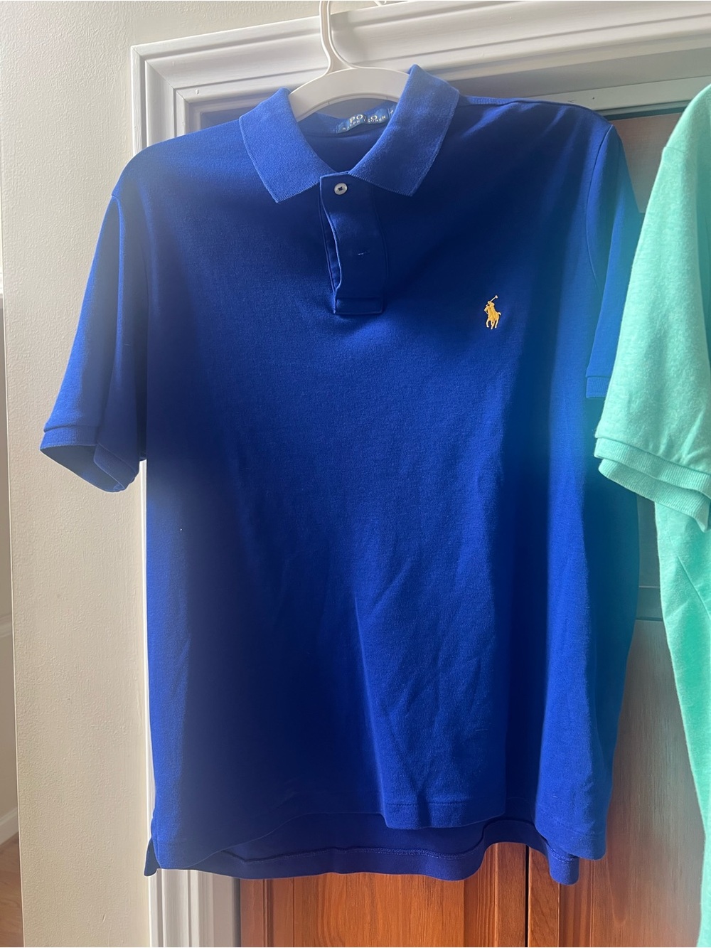 Ralph Lauren Mint Green Polo Shirt with Embroidered Pony - Picture 2 of 11